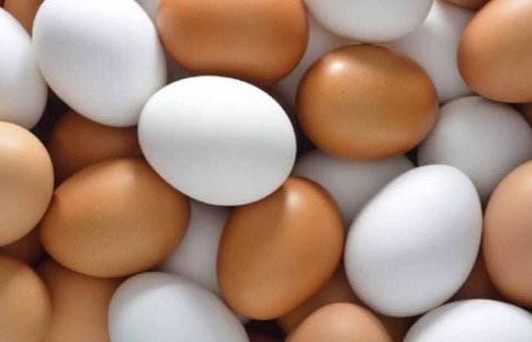 Yumurta fiyatlarında yükselişe karşı düzenleme