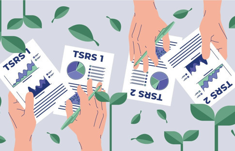 TSRS bir standart mı, ötesi mi?