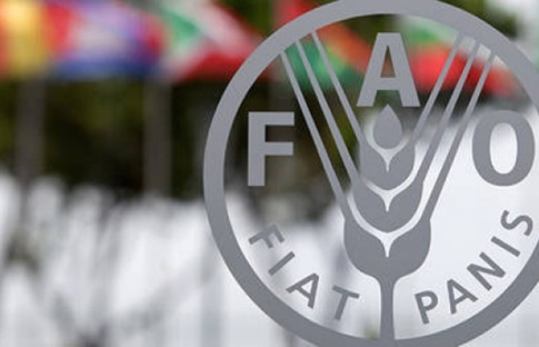 Dünyada gıda fiyatları değişmedi