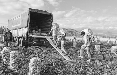 Tarım Şurası’ndan çıkan 86 kararın kaç tanesi uygulanabilir?