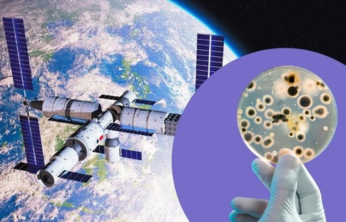 Çinli bilim insanları uzay istasyonunda yeni bir mikrop keşfetti