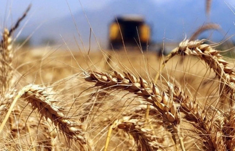 Gıda emtialarında soğuma dalgası