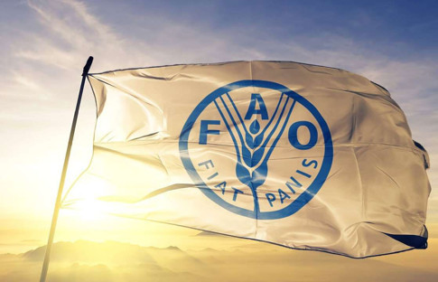 Dünyada gıda fiyatları ekimde geriledi