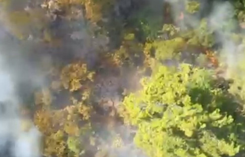 Çanakkale'de tarım arazisinde başlayan yangın ormanlık alana sıçradı