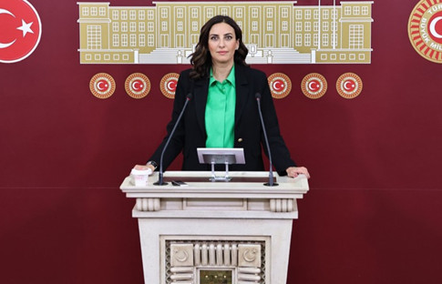 DEVA Milletvekili Rızvanoğlu: 40’a yakın köy sürgüne uğrayacak, bu zeytin değil çevre sürgünü