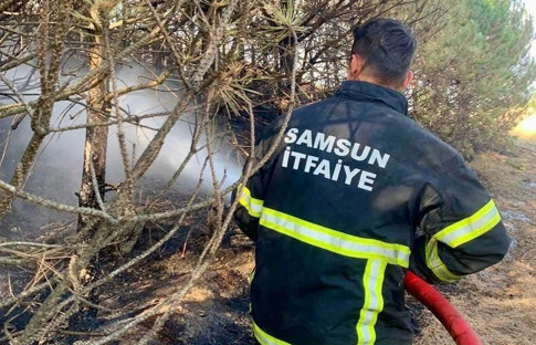 Samsun’da 6 ayda 263 orman ve anız yangını çıktı