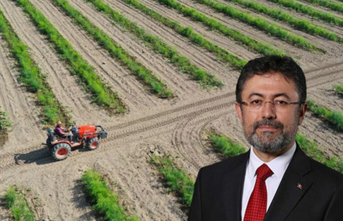 Tarımsal hasılada rekor: Türkiye dünyada ilk 7 ülke arasında