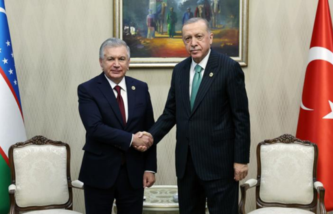 Cumhurbaşkanı Erdoğan, Özbekistan Cumhurbaşkanı Şevket Mirziyoyev ile görüştü