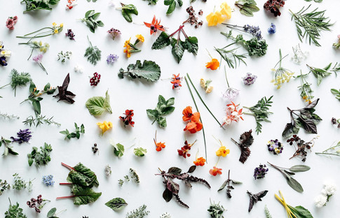 Zeytinliklerin gölgesinde bir gastronomi masalı