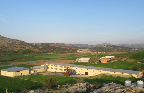 Aybak Tarım, Tarsus’a dev bir entegre tesis kuracak