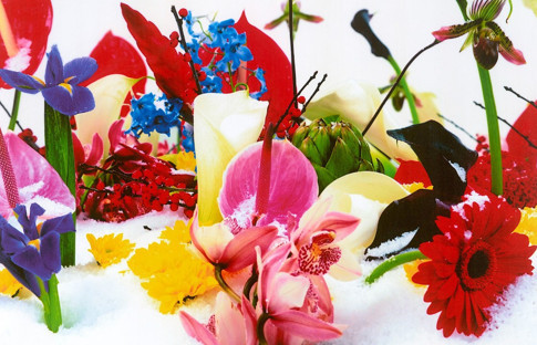 Pera Müzesi 20. yılında sanatseverleri önemli iki sergiyle buluşturacak