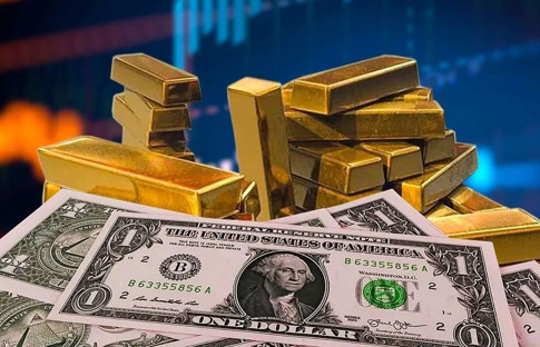 Ağustosta en çok hangi yatırım aracı kazandırdı?