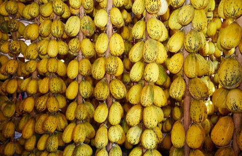 Metro Türkiye, Kırkağaç’ta ‘Yerelin İzinde’