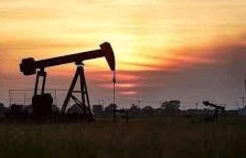 İki haftanın en düşük seviyesini gören petrol hareketlendi