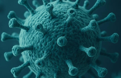 ‘H3N2’ virüsü salgını Türkiye'de başladı mı? Uzmanından kritik uyarı