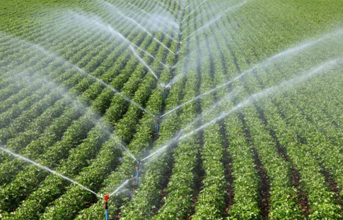 Tarım sigortası kapsamında 4,2 milyar lira hasar tazminatı ödendi