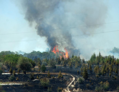 Kırklareli'de büyük yangın! Avrupa Otoyolu trafiğe kapatıldı - Resim : 1
