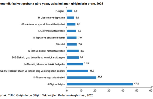 TÜİK ilk kez açıkladı: Türkiye’nin yapay zekâ profili belli oldu - Resim : 2