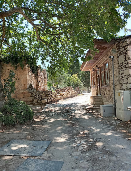 Stratonikeia&rsquo;da; bir zaman t&uuml;nelindeymişiz gibi&hellip; - Resim : 4