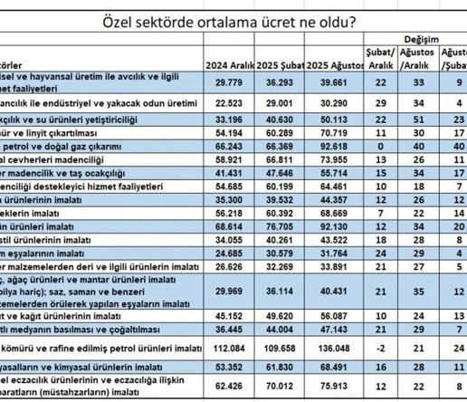Özel sektörde maaş artışı asgari ücretin altında kaldı - Resim : 1