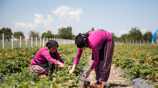 Merzifonlu kadınlar girişimcilikleri ile örnek oldu - Resim : 1