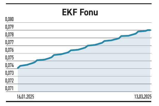 Döviz fonlarının aylık getirisi para piyasası fonlarının iki katı - Resim : 2