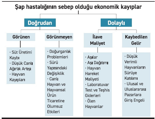 Şap hastalığının ekonomiye zararı yıllık 4,1 milyar dolar - Resim : 1