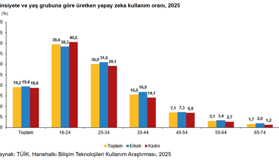 TÜİK ilk kez açıkladı: Türkiye’nin yapay zekâ profili belli oldu - Resim : 4