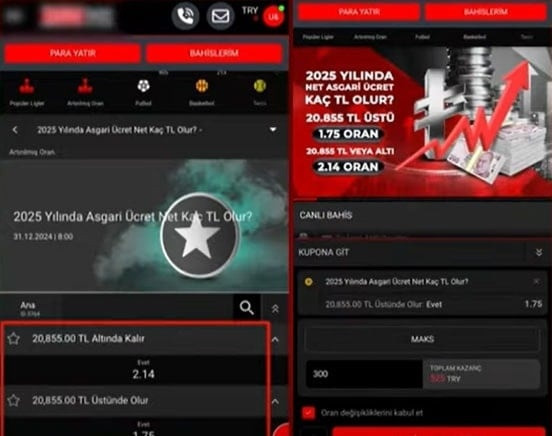 Yasa dışı siteler asgari ücret için bahis açtı: İki seçenek sunuldu - Resim : 1