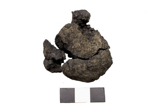 Tavşanlı ve Çatalhöyük’te tarihi keşif! Binlerce yıllık nohut ve ekmek kalıntısı bulundu - Resim : 1