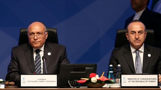 Çavuşoğlu, Mısırlı mevkidaşı ile görüştü