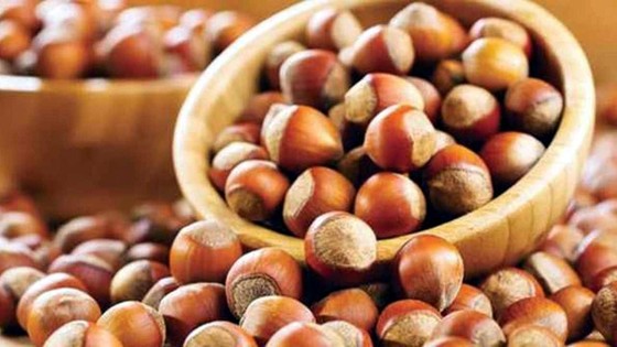 Türkiye’nin 2022-2023 fındık rekoltesi 760 bin ton