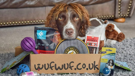 Köpek dostu girişim WufWuf, ABD'ye hazırlanıyor