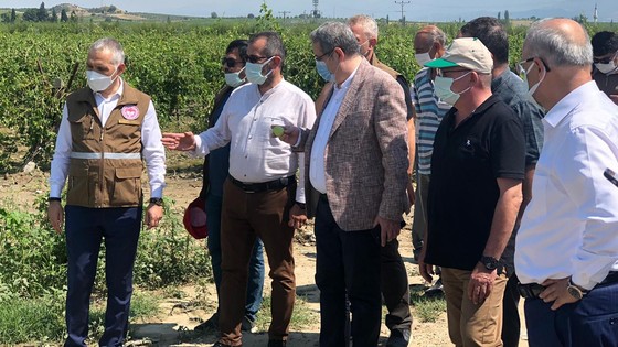 Salihli’de dolu meyve bahçelerine büyük zarar verdi