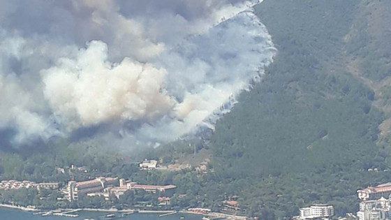 Orman yangınlarıyla ilgili yanıtlanması gereken sorular