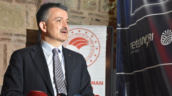 'Marmara Denizi'ndeki balıklar tüketilebilir'