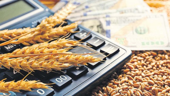 Küresel gıda fiyatları martta rekor seviyeye ulaştı