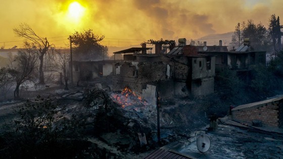 Bakan Koca: Manavgat yangınından 62 kişi etkilendi