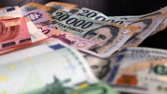 Macaristan'da 7 haftada 7. faiz artırımı