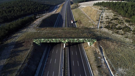 Kara yolu taşımacılığında yeni dönem