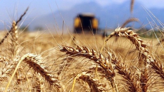 Türkiye, BAE ile tarıma dayalı ihtisas OSB'leri geliştirecek