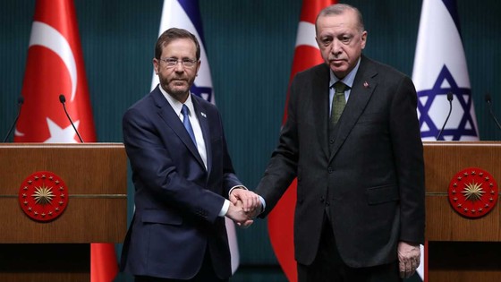 Cumhurbaşkanı Erdoğan, İsrail Cumhurbaşkanı Herzog ile görüştü