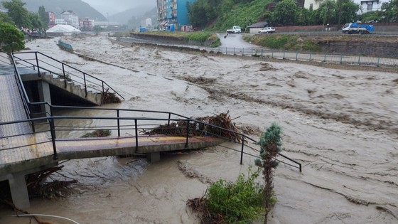 Karadeniz'de sağanak etkili oldu: Dereler taştı, köprüler yıkıldı, evleri su bastı