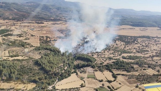 Milas'taki yangına müdahale sürüyor