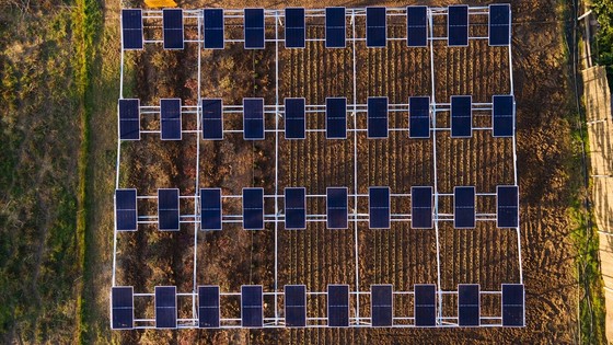 Enerjisa Üretim, agrivoltaik tarıma başlıyor