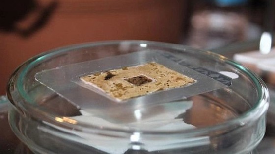 Bilim dünyasından yeni buluş: Akıllı yara bandı
