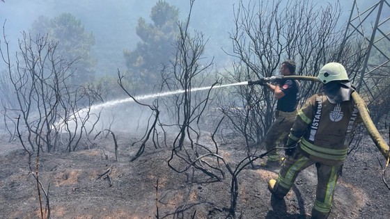 Fethiye ve Sultangazi'deki yangınlar kontrol altında