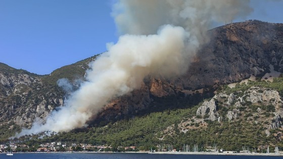 Didim ve Milas'taki yangınlara müdahale ediliyor
