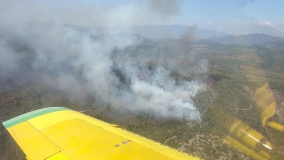 İzmir'de orman yangını