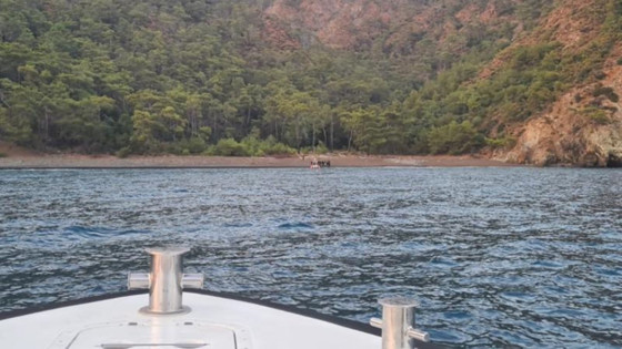 Muğla'nın Fethiye ilçesinde 21 düzensiz göçmen yakalandı